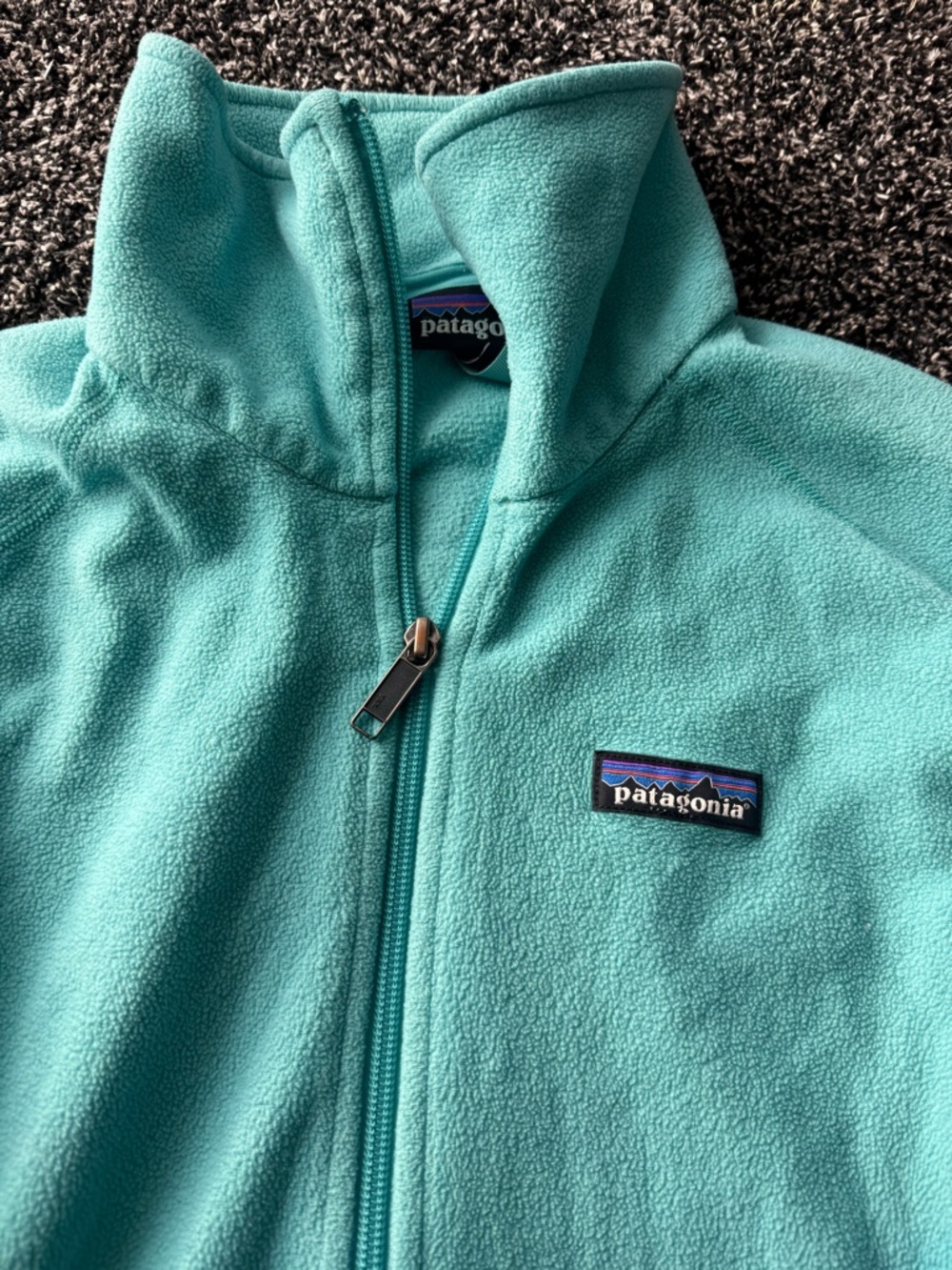 Patagonia Light Teal Fleece Jacket with Chest Logo